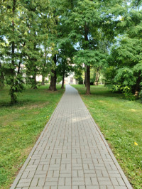 МІСТО ФРАНКОВЕ