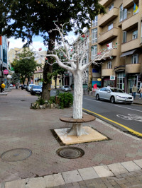 МІСТО ФРАНКОВЕ