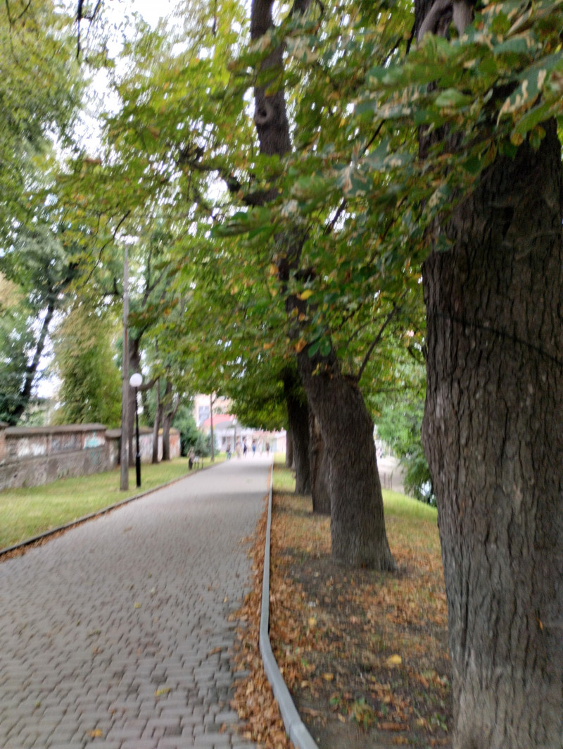 МІСТО ФРАНКОВЕ - Ivano-Frankivsk