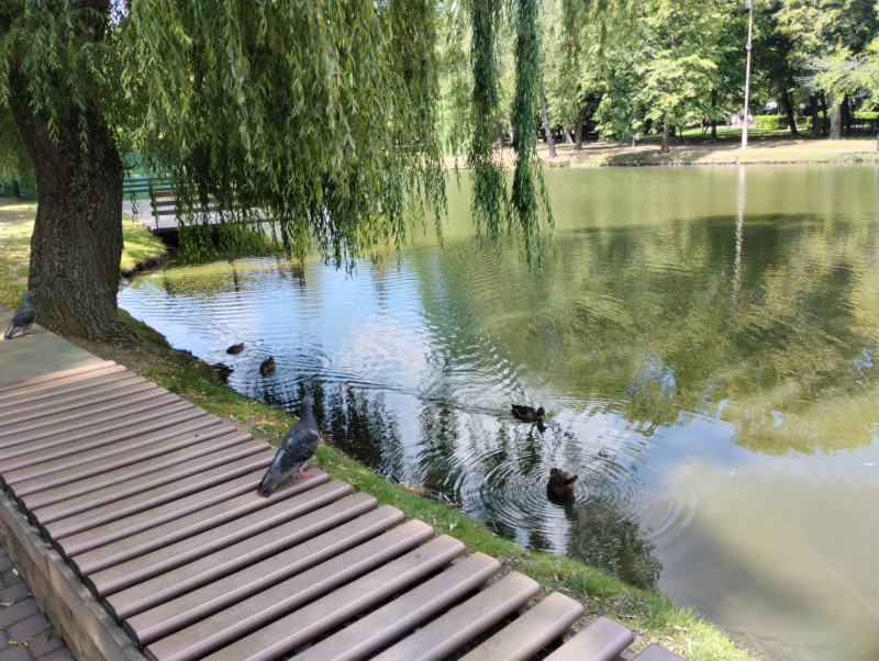 МІСТО ФРАНКОВЕ - Ivano-Frankivsk