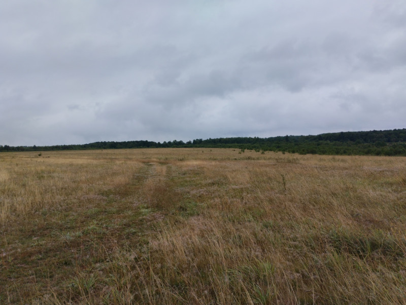 краєвид - Долішнє