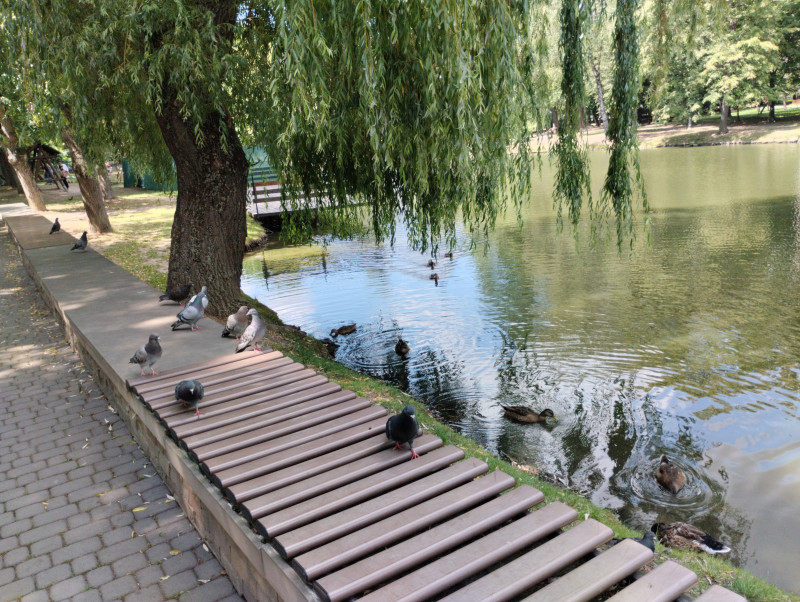 МІСТО ФРАНКОВЕ - Ivano-Frankivsk