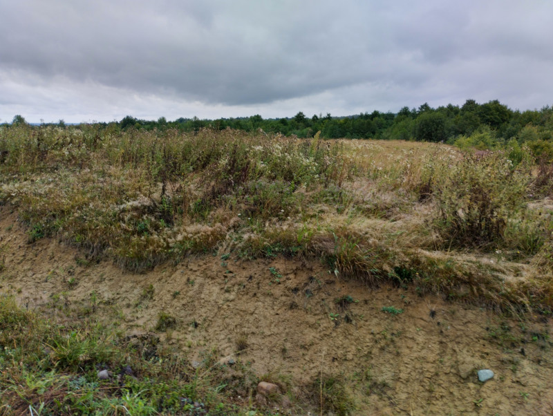 краєвид - Долішнє