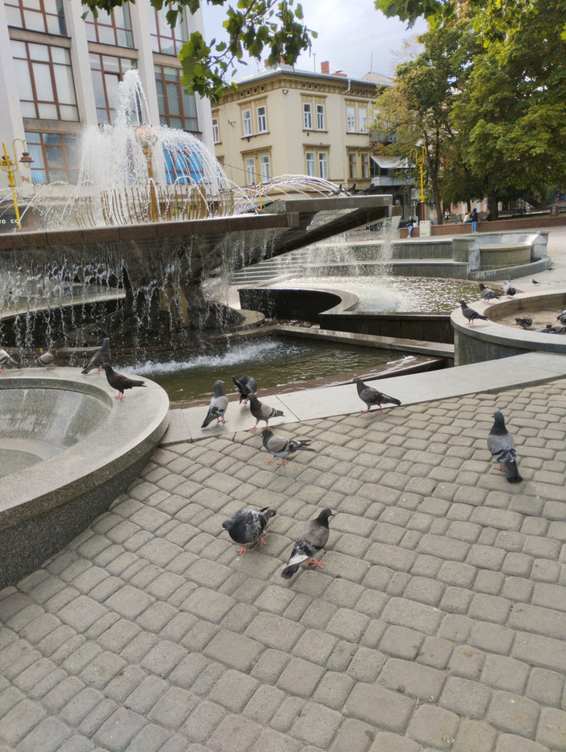 МІСТО ФРАНКОВЕ - Ивано-Франковск