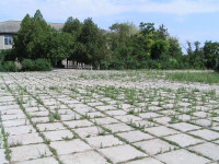 Калініне/Орман Аджи