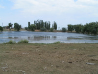 Калініне/Орман Аджи