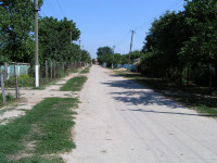 Калініне/Орман Аджи