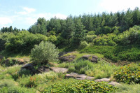 Коростувата - Останні фото