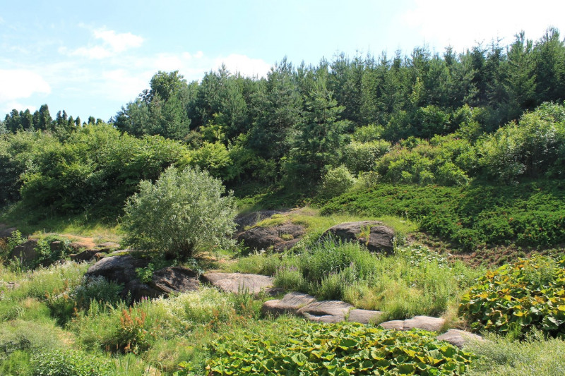 Подорожі - Коростовата