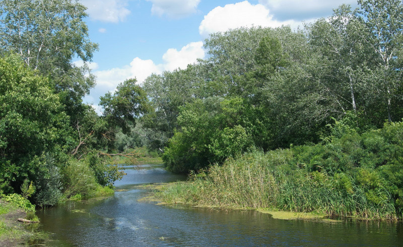 Подорожі - Коростовата