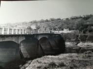 Білики - Останні фото