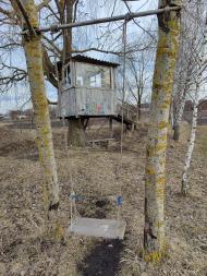 Природа Носівки