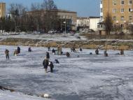 Природа Носівки