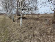 Природа Носівки