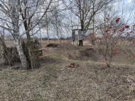 Природа Носівки