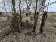 Природа Носівки