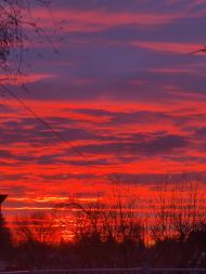 Природа Носівки