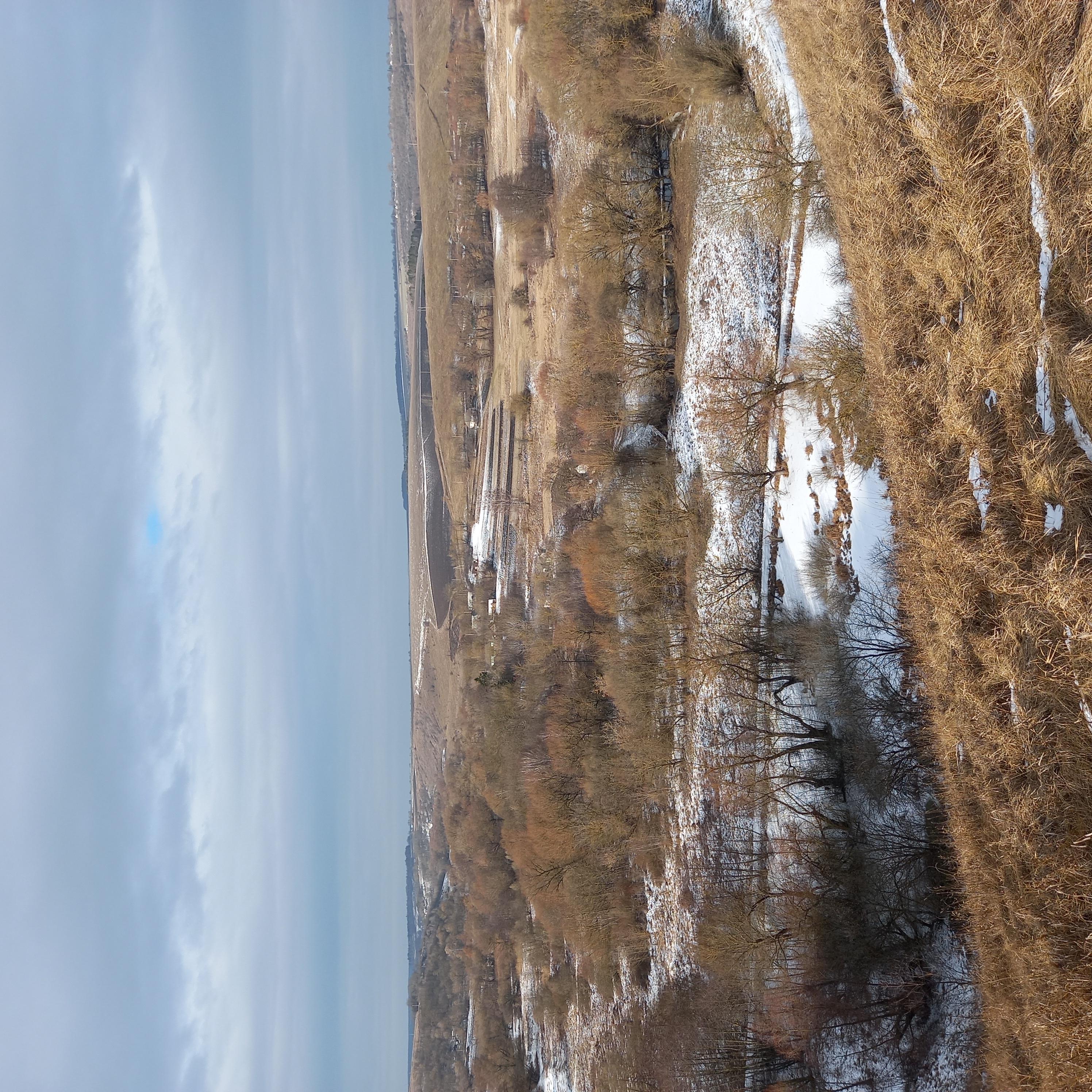 Природа - Лысовка