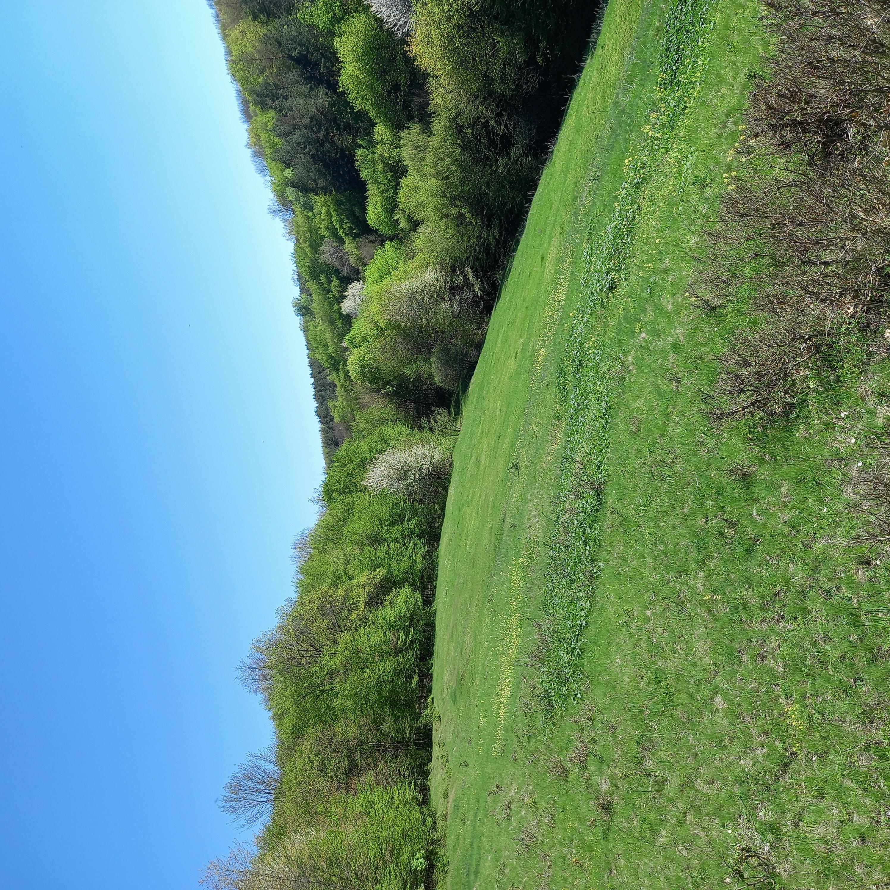 Природа - Лысовка