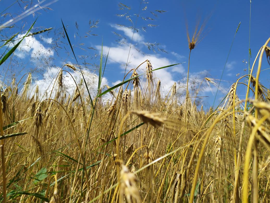 Дерманські краєвиди - Дермань Перша