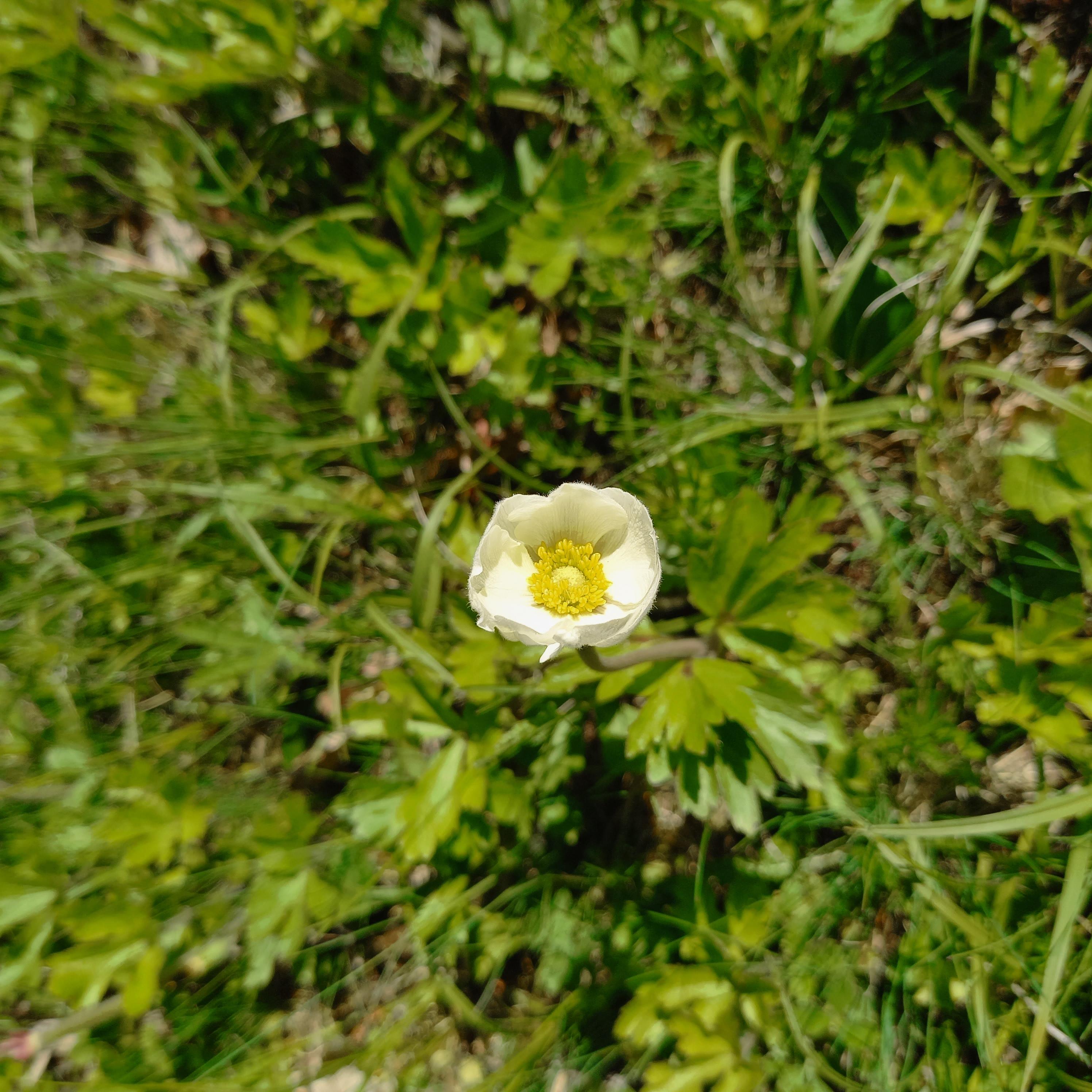 Природа - Лысовка