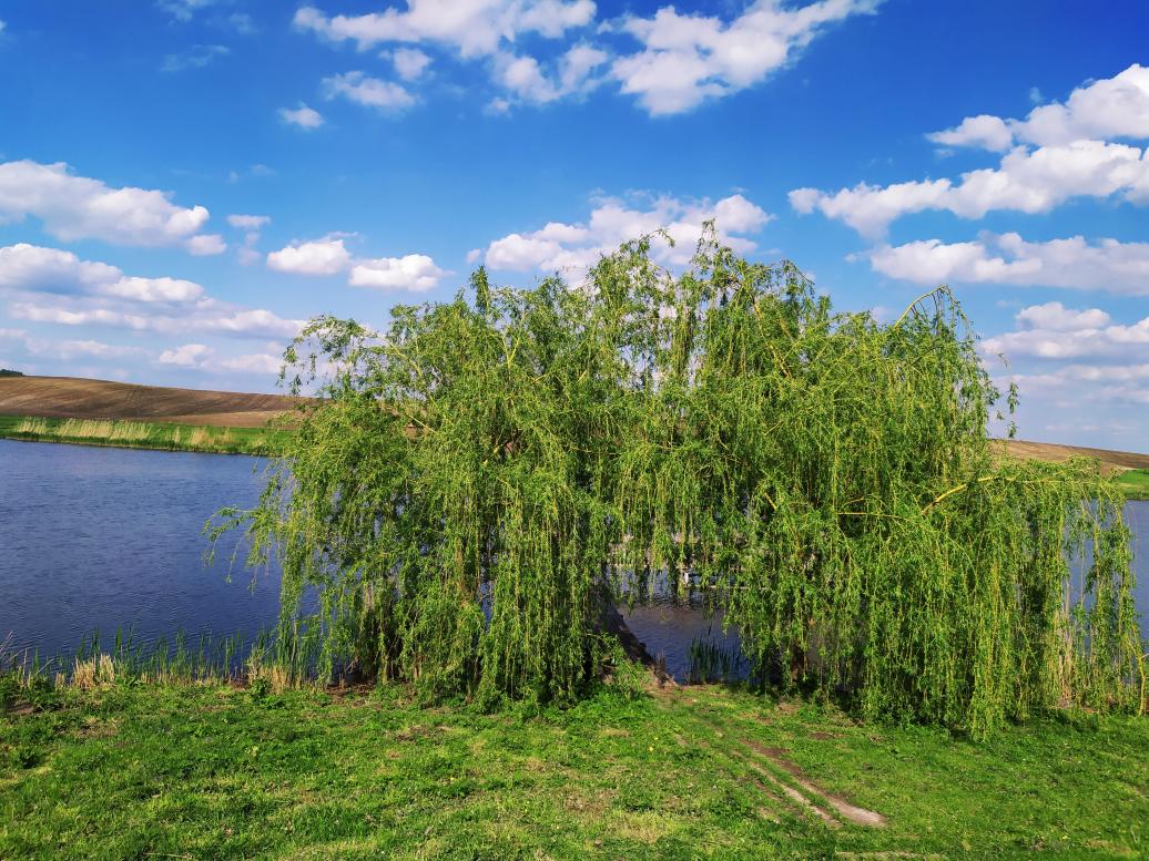 Дерманські краєвиди - Дермань Перша