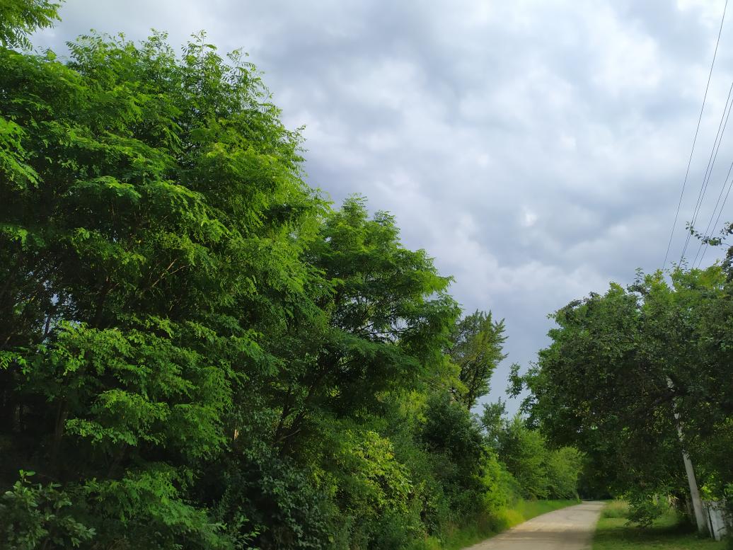 Наші фото - Дермань Друга