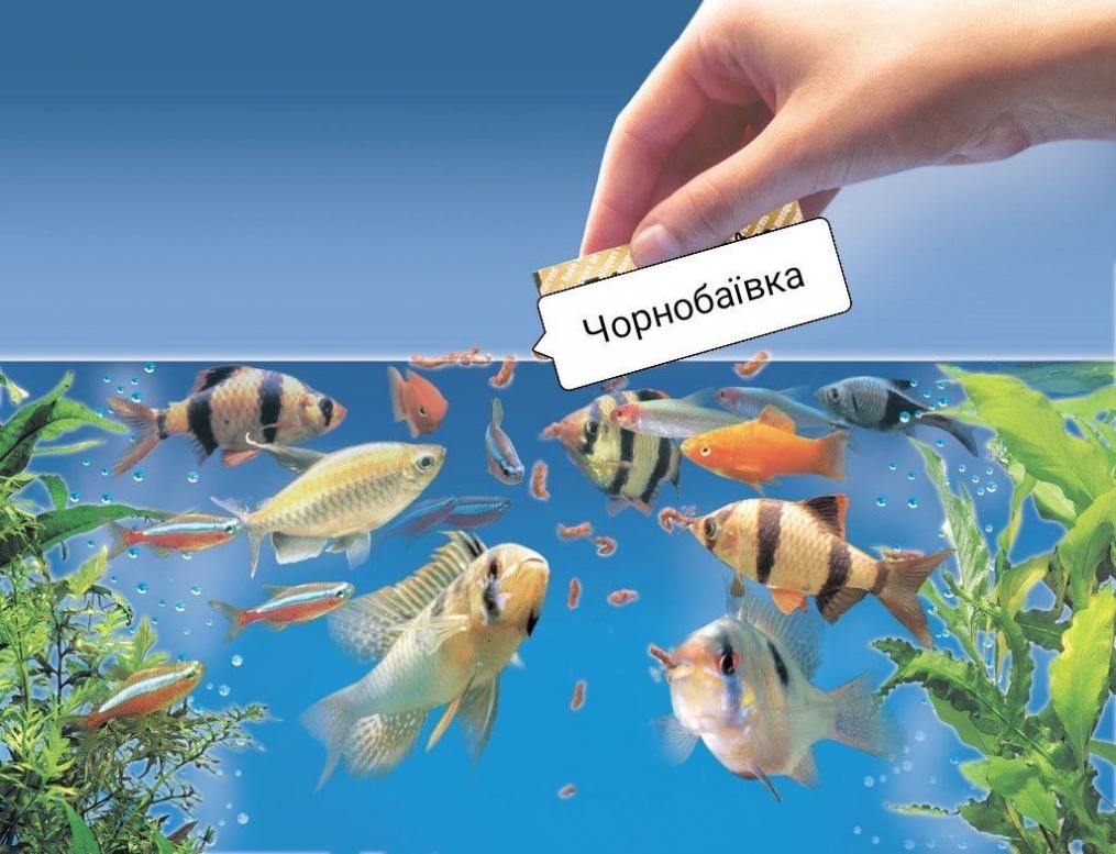 Меми - Чорнобаївка