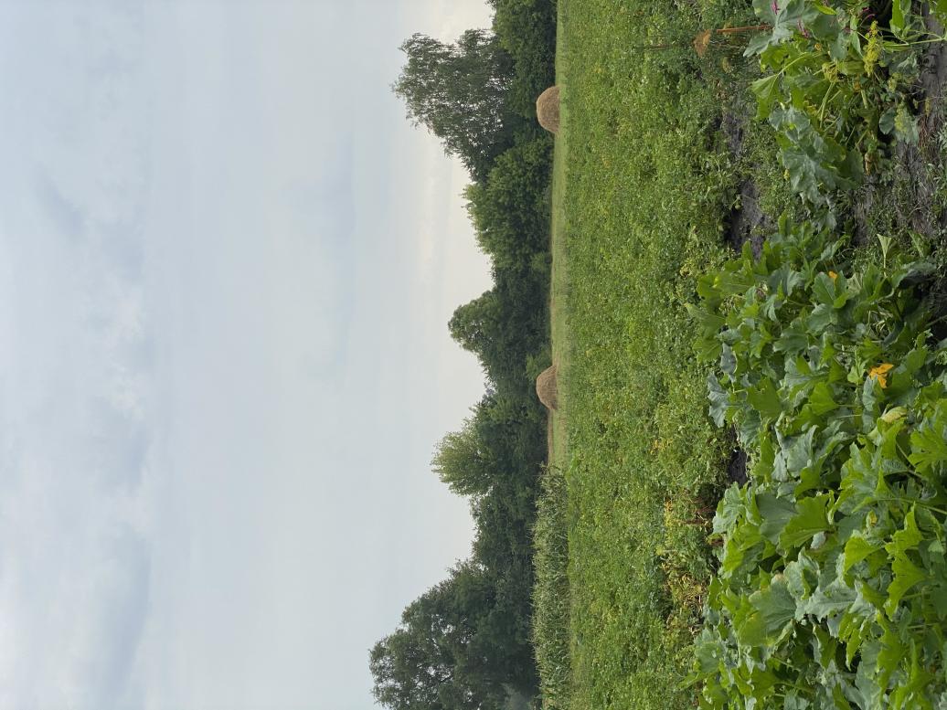 Наши фото - Берізки-Чечельницькі