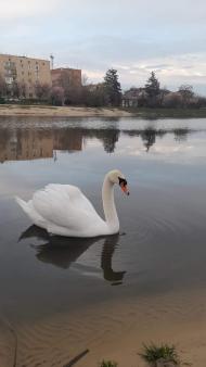 Природа Носівки