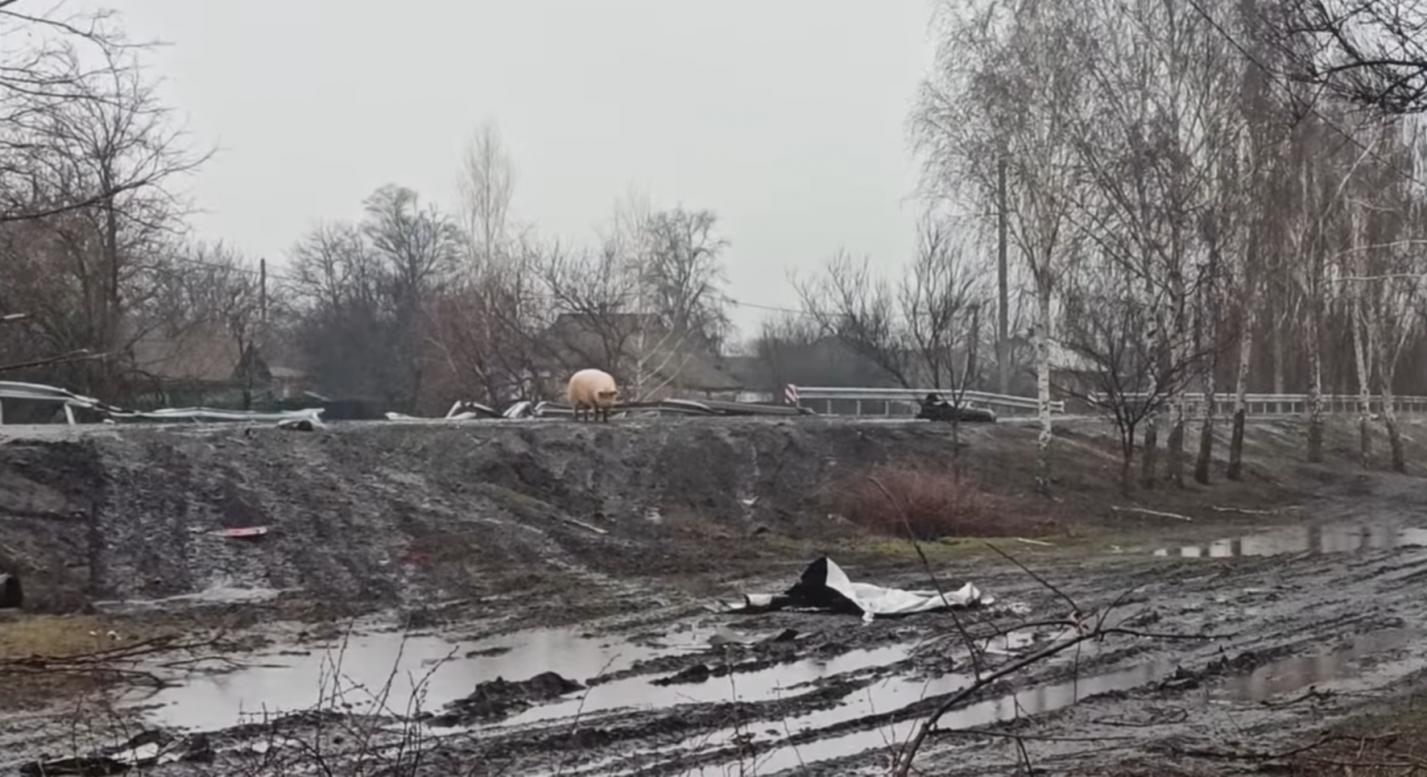 Наслідки війни Великої дороги - Велика Дорога