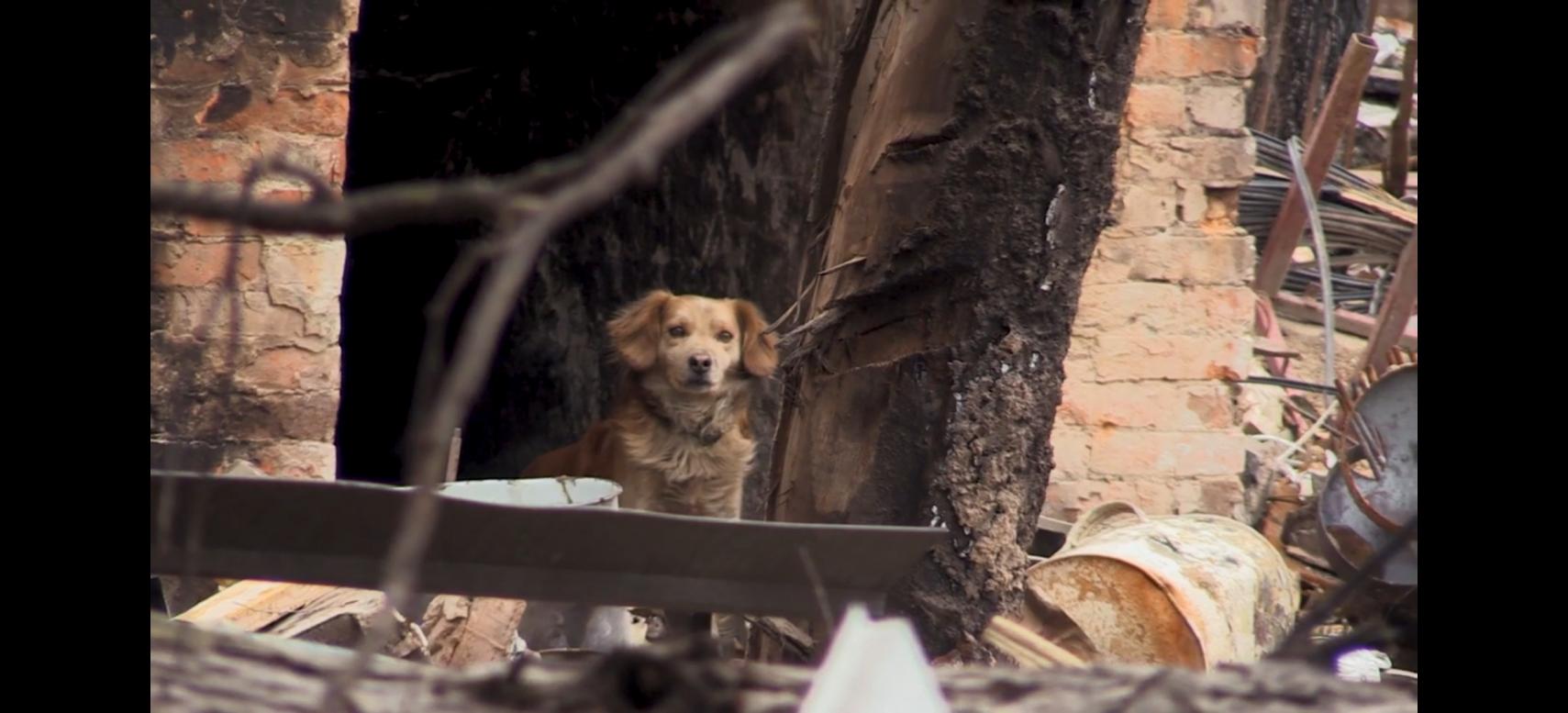 Наслідки війни - Бородянка