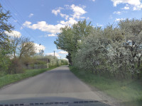 Головна дорога Пилятина