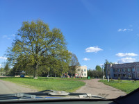 Головна дорога Козар