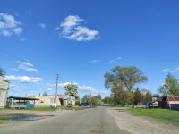 Головна дорога Козар