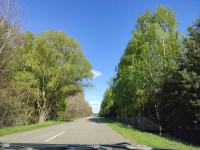 Головна дорога Козар