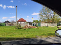 Головна дорога Стависького