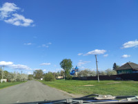 Головна дорога Козар