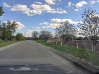 Головна дорога Пилятина