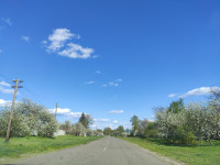 Головна дорога Козар