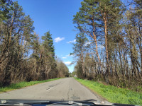 Головна дорога Козар