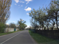 Головна дорога Пилятина