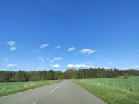 Головна дорога Пилятина