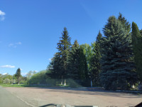 Головна дорога Козар