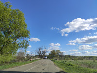 Головна дорога Козар