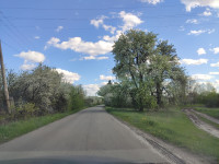 Головна дорога Пилятина