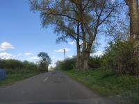 Головна дорога Пилятина