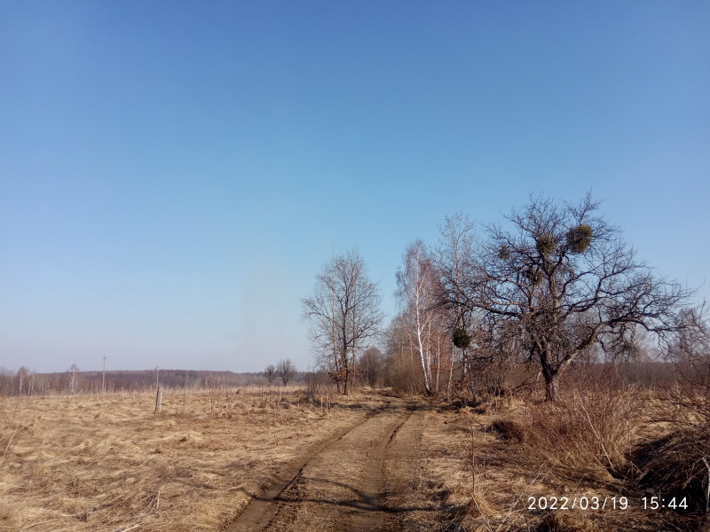 краєвид - Смоляний