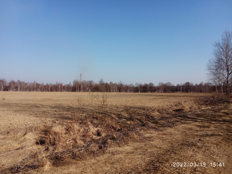 краєвид - Смоляний