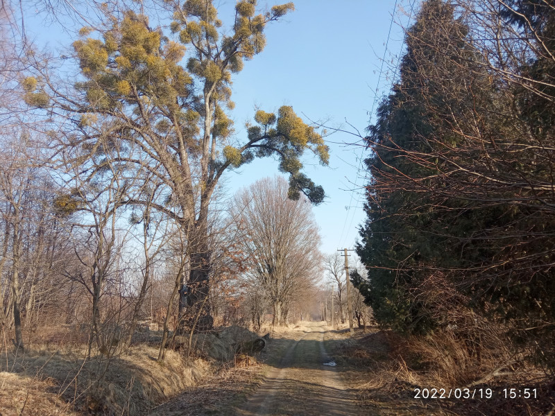 краєвид - Smolyanyy